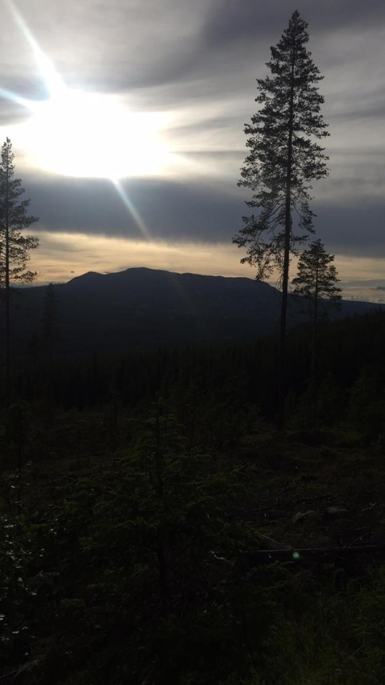 In The Middle Of Trysil Fjellet - Welcome Center - Apartment With 4 Bedrooms And Sauna - By Bike Arena And Ski Lift Экстерьер фото